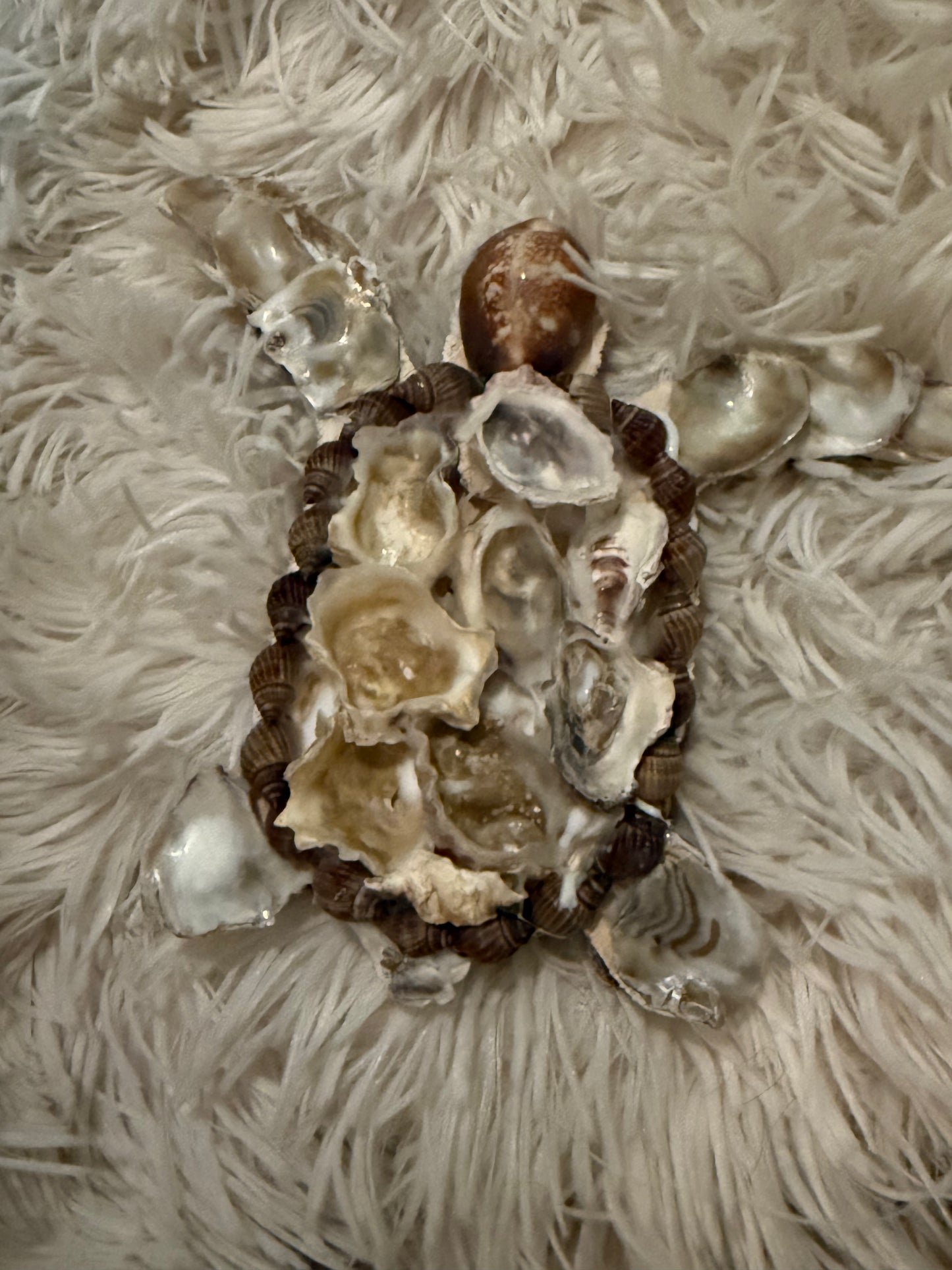 Shell Turtle Ornament