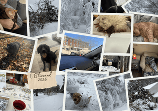 How We Weathered the Winter Storm (Beach Gypsy Style) - Beach Gypsy