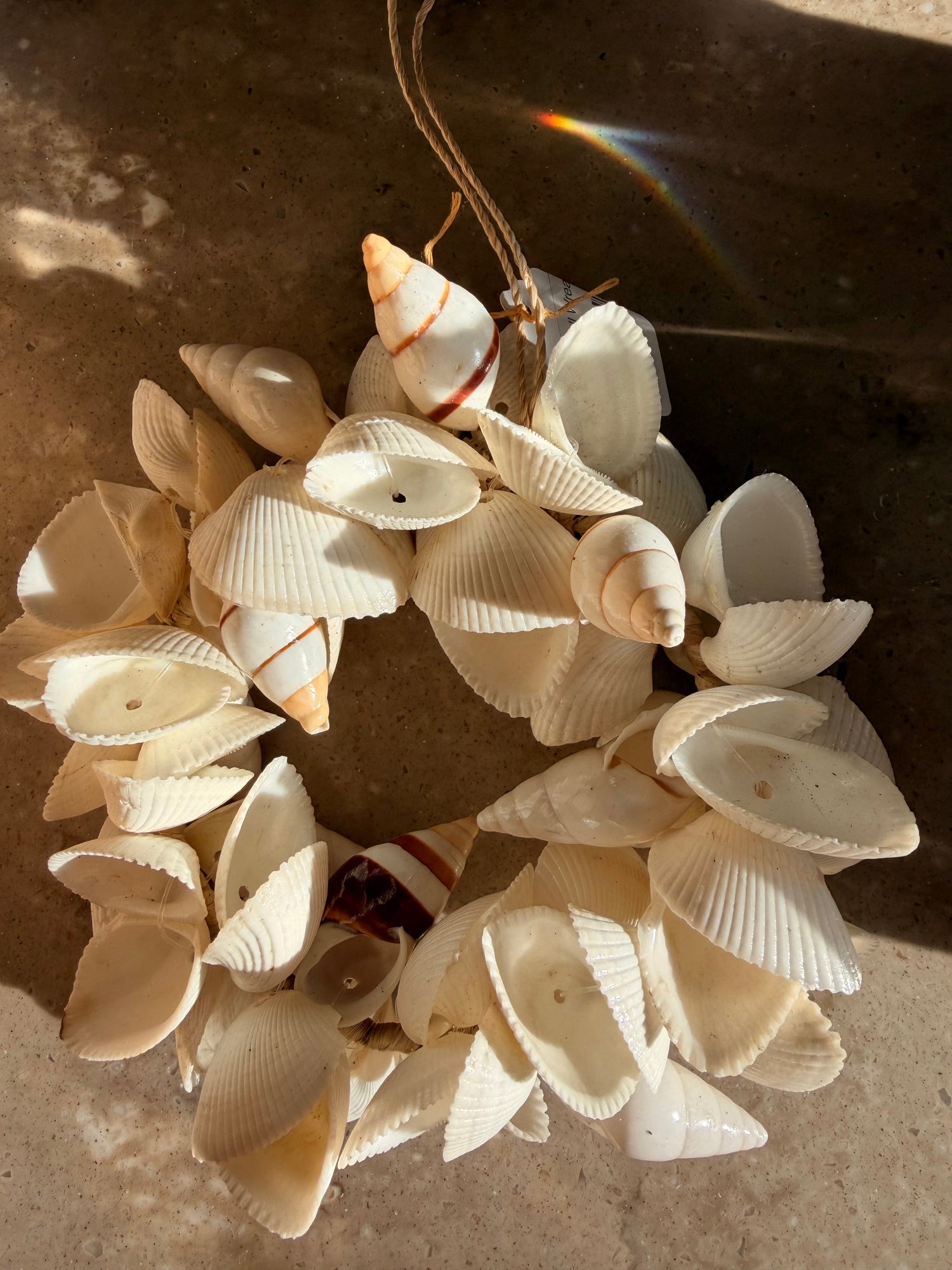 White assorted shells wreath 