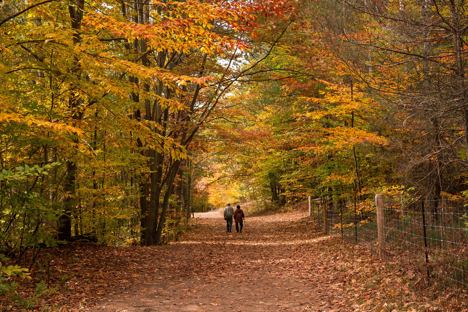 The Autumn Edit
