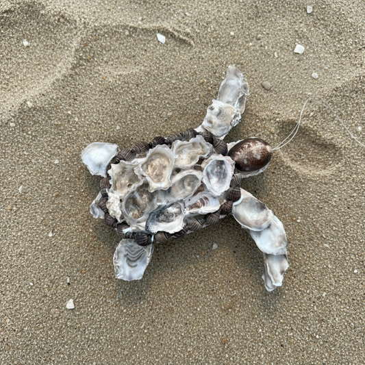 Seashell turtle on a beach