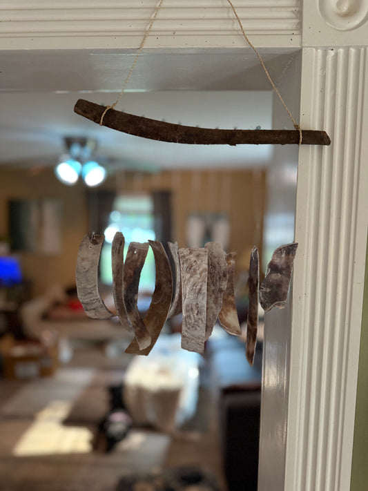Shell Fragment WIndchime