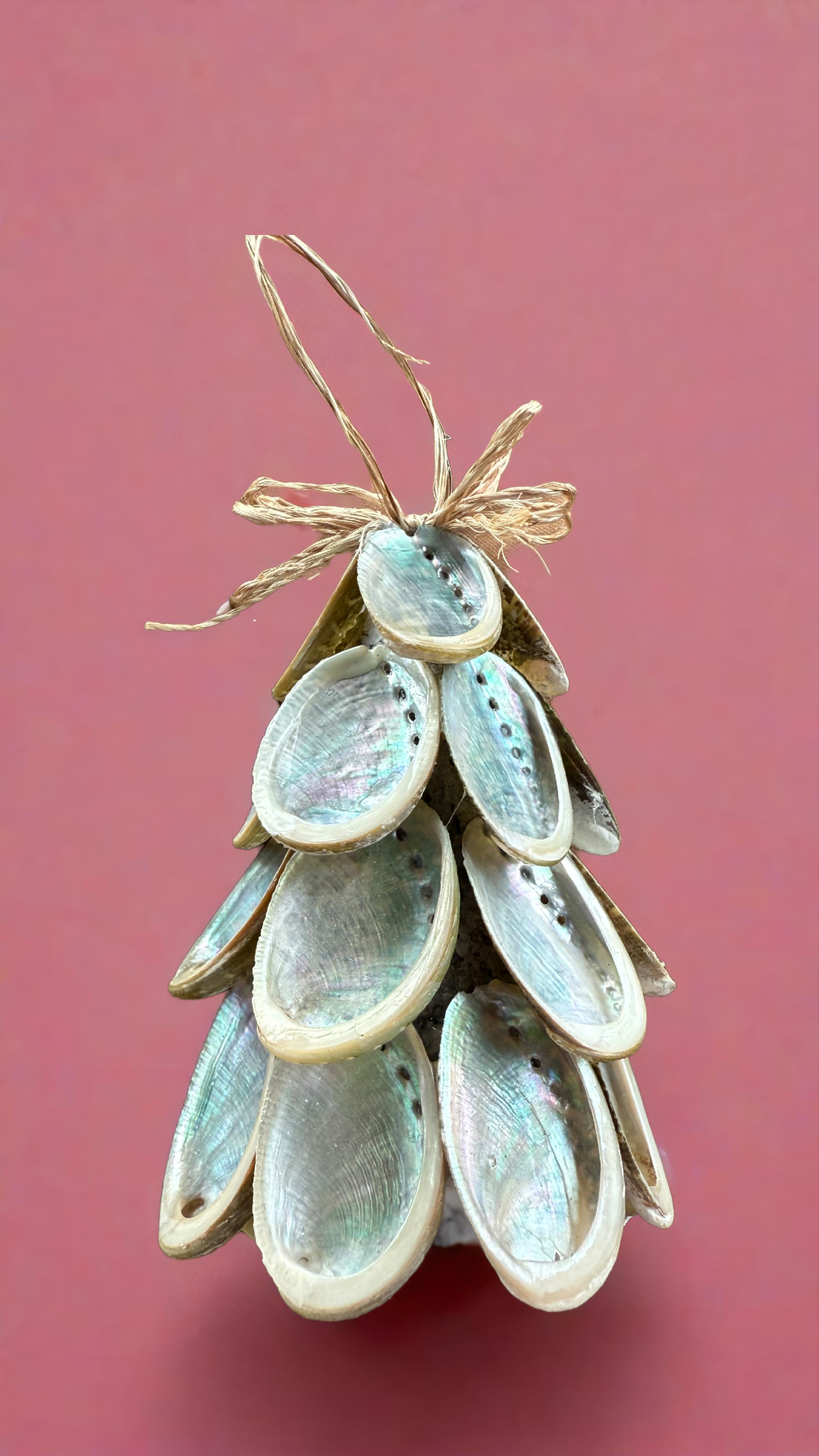 Abalone Trees