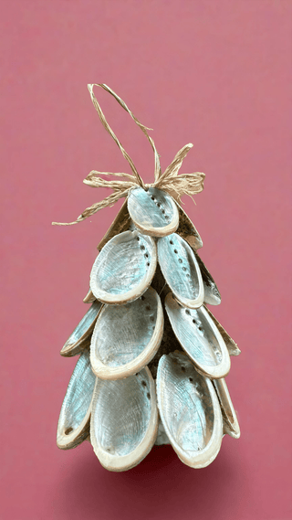 Abalone Trees - Beach Gypsy