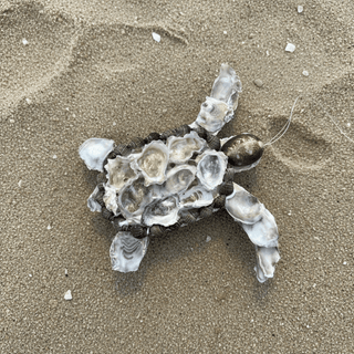 Handmade turtle-shaped wall ornament crafted from natural shells on a wooden surface