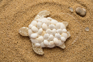 Shell Sea Turtle Ornament - Beach Gypsy