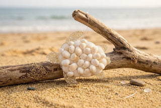 Shell Sea Turtle Ornament - Beach Gypsy