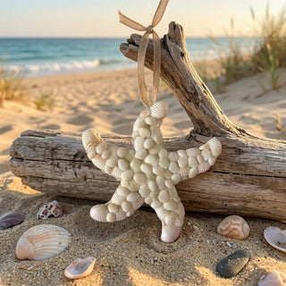 Star Shell Ornament - Beach Gypsy