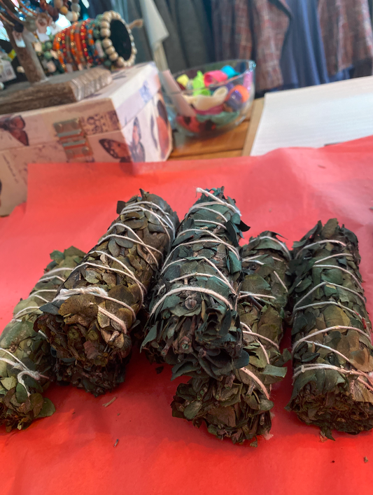 Eucalyptus Bundles
